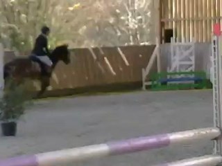 Ecuries Julie Le Guern: Tampico des Lauriers