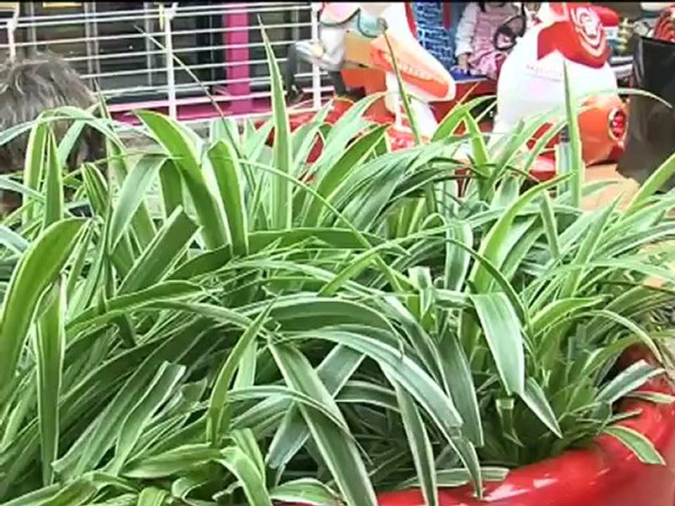 SETEX PRO - Lauréat Artinov 2012 - Produit