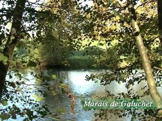 A Niort, la biodiversité est capitale