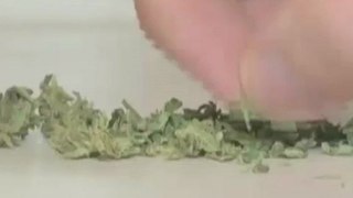 Marijuana legal in Washington state