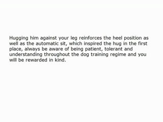 Dog Training: Teaching Your Dog to Heel