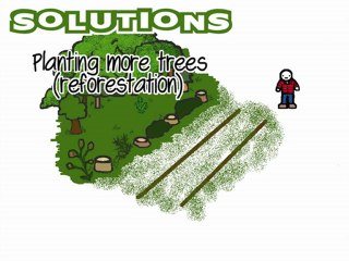 The Depletion of the Tropical Rainforests