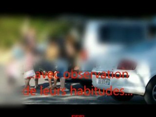 Chroniques d'un projet criminel fantôme... n°1