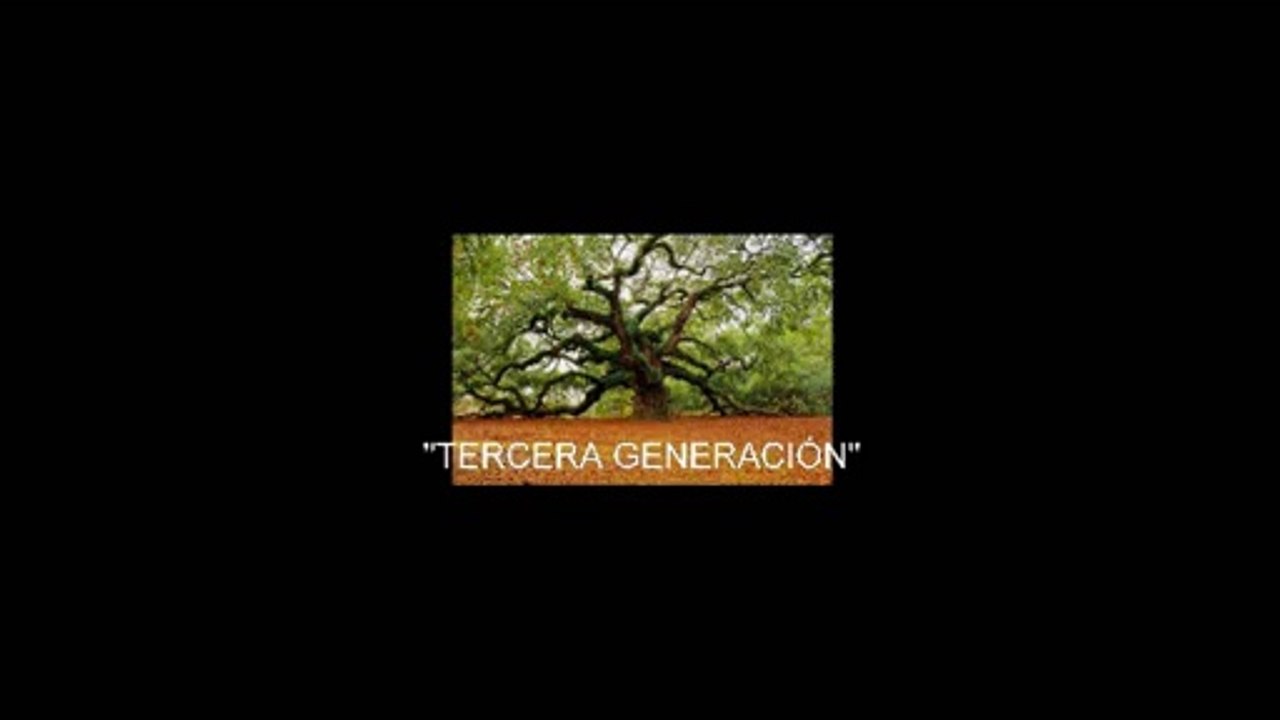 TERCERA GENERACIÓN