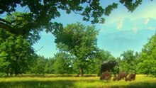 Мифы леса. Звериный рай и царство (Фильм 1)