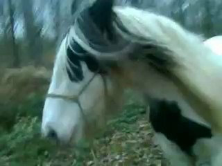 Balade de Luna lors du sevrage de Cap