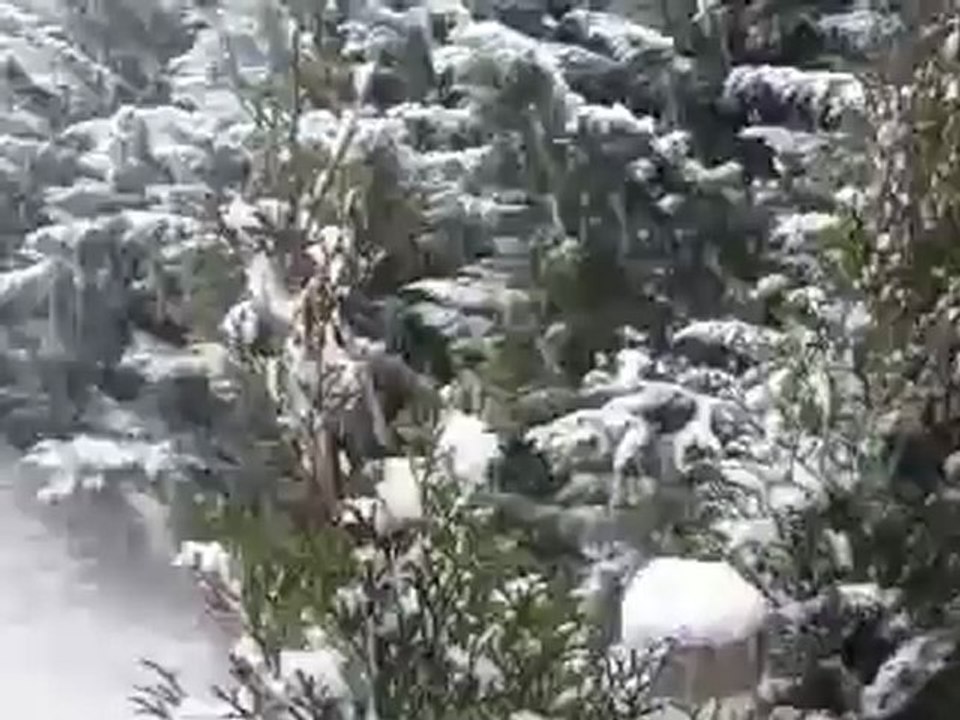 première neige