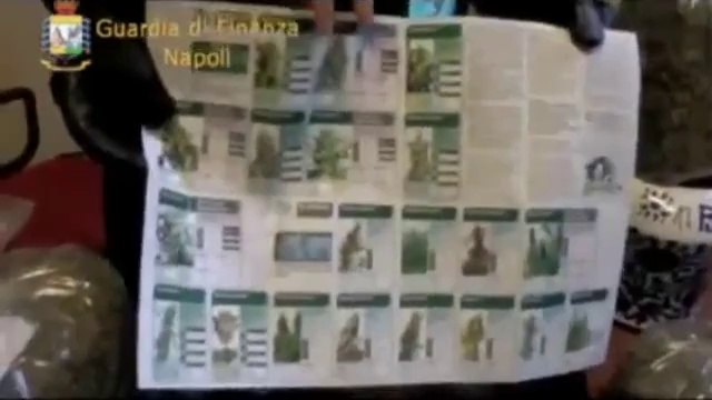 Piano di Sorrento (NA) - La Guardia di finanza sequestra 7 kg marijuana, un arresto (29.11.12)