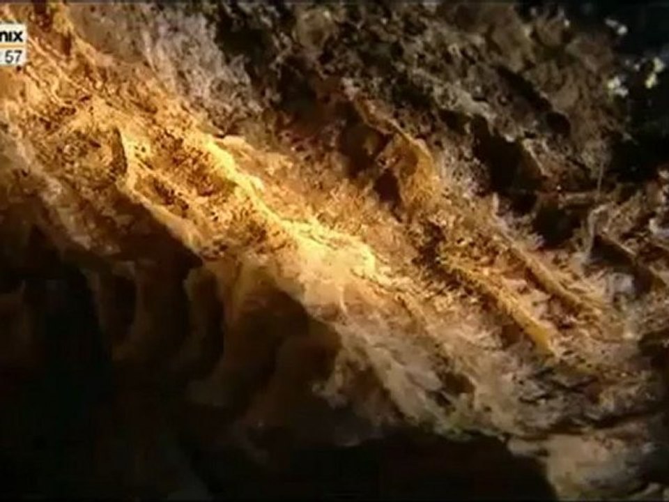 Die Odyssee des Menschen Teil 2 - Das Geheimnis der Drachenknochen