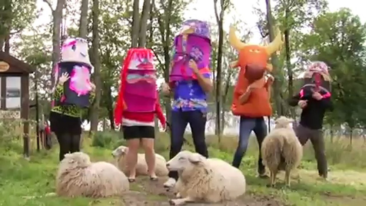 The Terror Pigeon Dance Revolt! singing to Oslo's ovine
