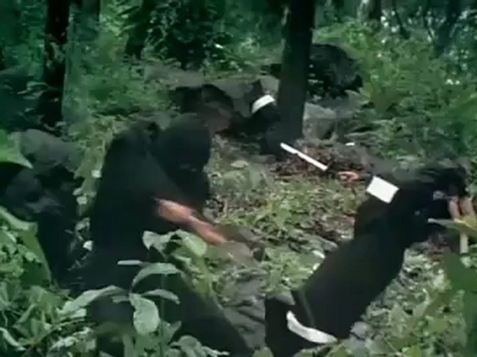 9 DEATHS OF THE NINJA (trailer)