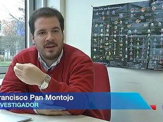 Parkinson y pesticidas: Hipotesis toxica