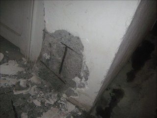 Curiamo la Nostra Casa: I pilastri - ing. G. Roggeri