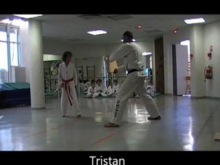 cassage planche juin 2011