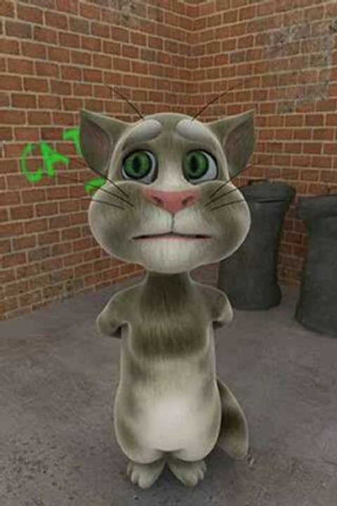 TalkingTom(3)