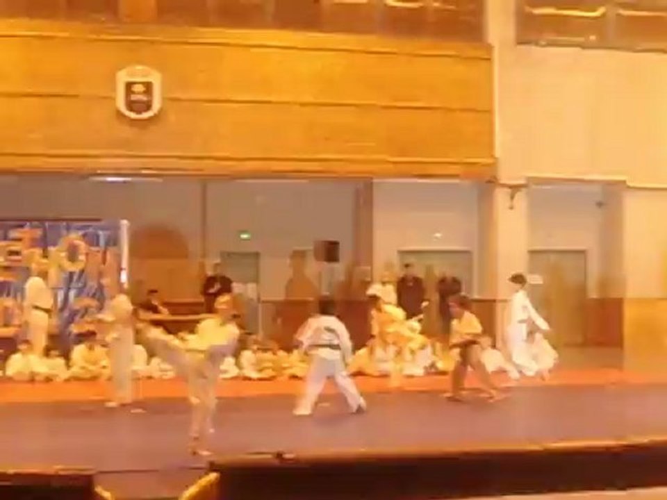 démo taekwondo téléthon 2012