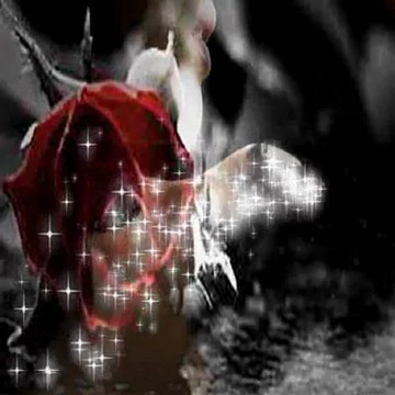 Dur dinle sevgilim bir çift sözüm var