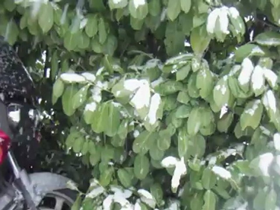 Et tombe la neige