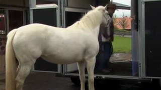 homme qui parle et danse avec les chevaux comm à 2minutes