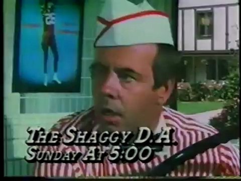 WNYB Buffalo 49 Weekend Matinee intro 1987