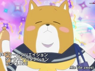 Shiba Inuko-san - 02
