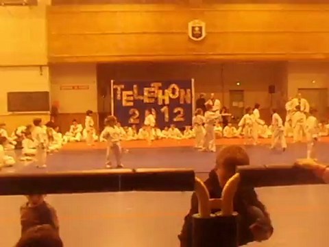 démo taekwondo téléthon 2012