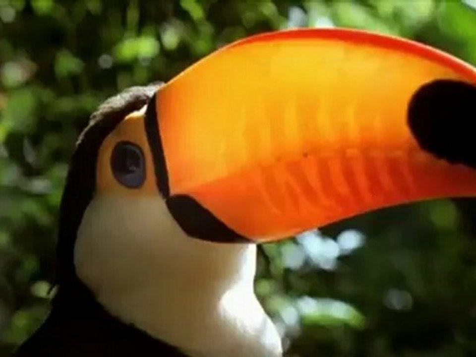 Animals 137