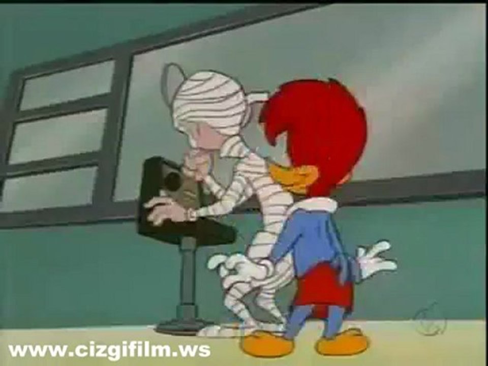 5. woody woodpecker