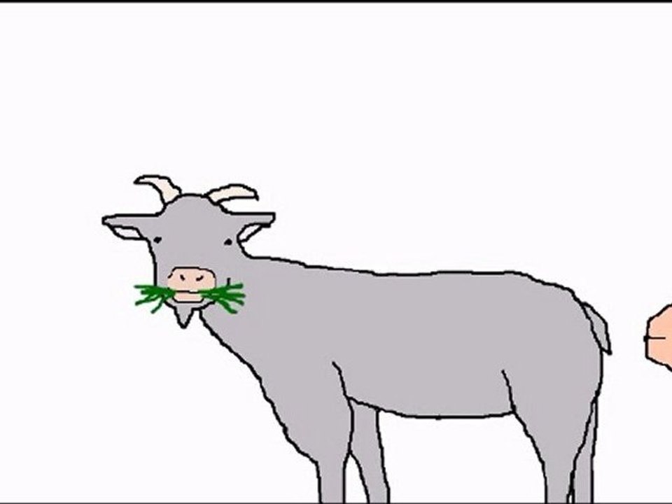 The Goat