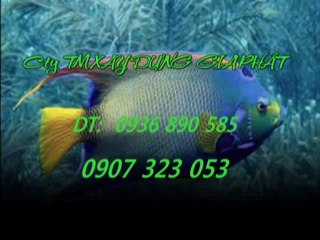 Xây dựng sửa nhà tại quận 1 hcm call 0907 323 053