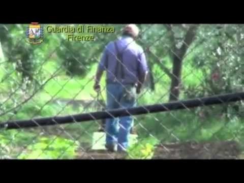 Firenze - Falso cieco alla guida di un trattore (23.11.12)