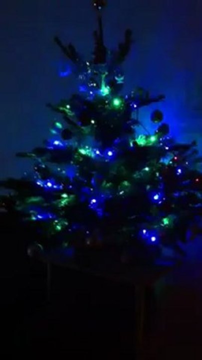 Sapin