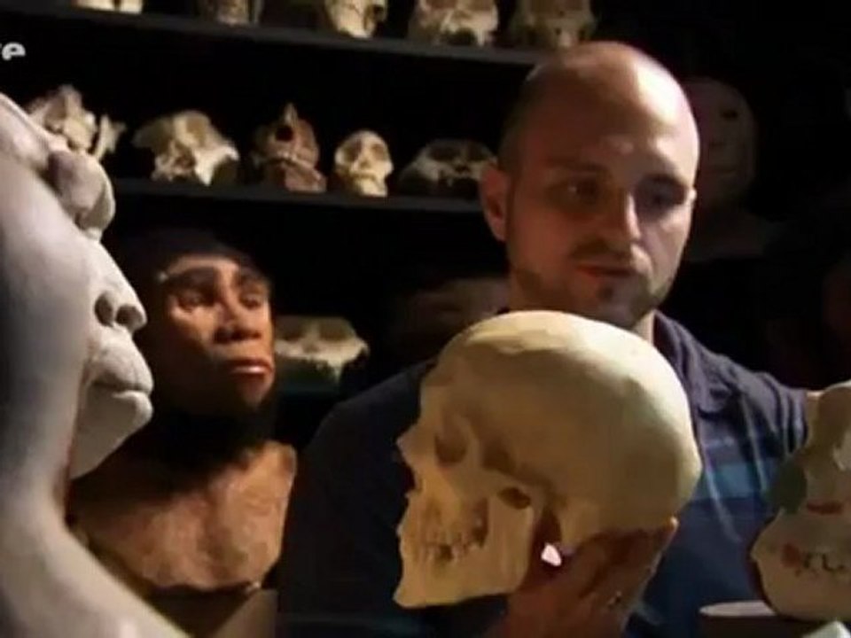 Die Anfänge der Menschheit - Vom Affen zum Menschen Teil 1