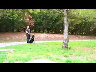 best-of attaques de mon  Rott