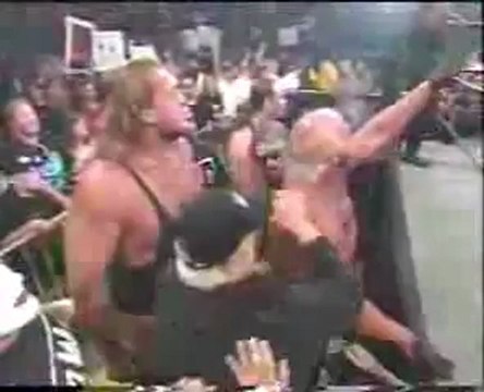 Sting joins NWO