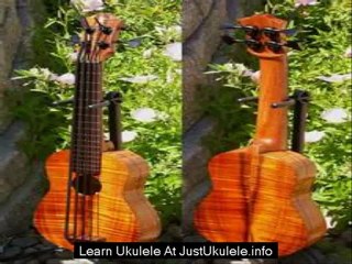 ukulele for dummies