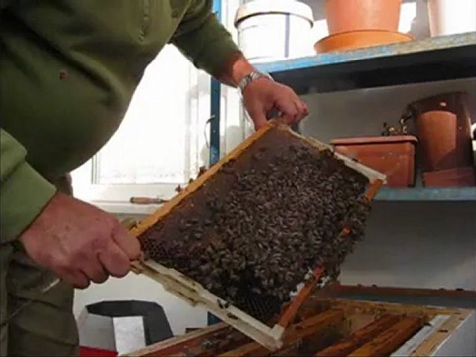 8-aralık-2012 kolonı kontrolu