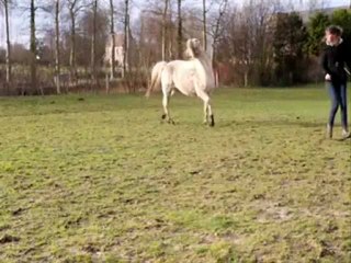 Mario travail à pied 08.12.12