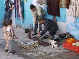 chefchaouen 2012