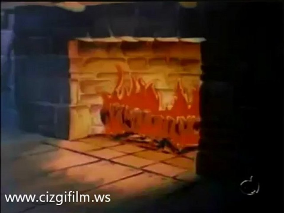 23. t_cizgi