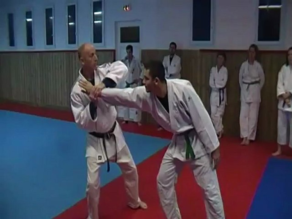 Jujitsu Rollin Philippe