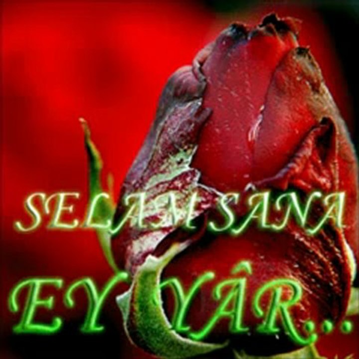 Sedat Uçan - Nerdesin Ey Nebi - DuaDenizi.Com