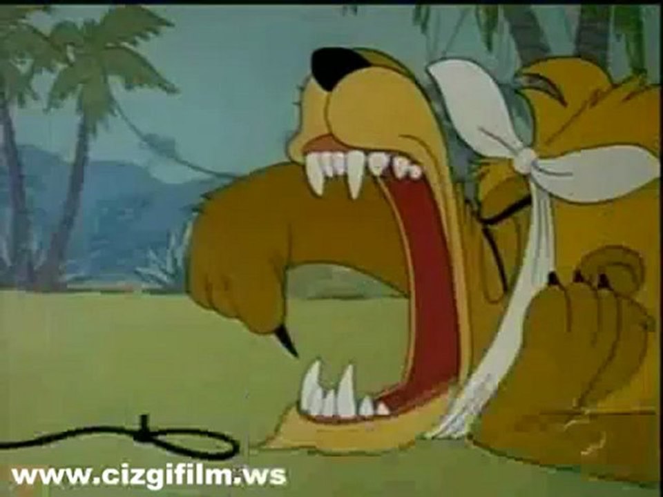 31 t_cizgi