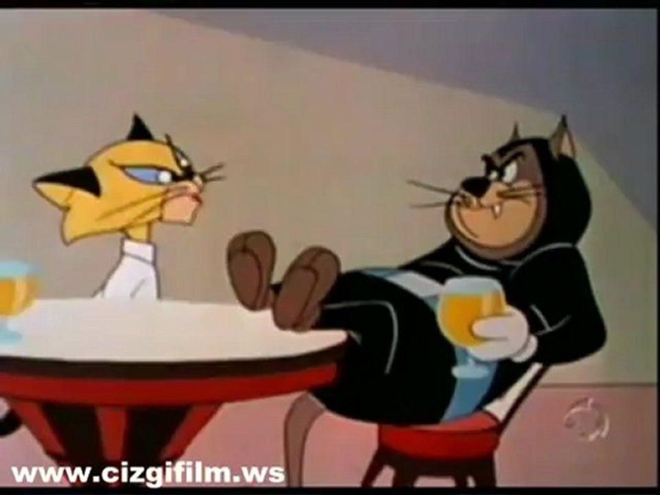 33 t_cizgi