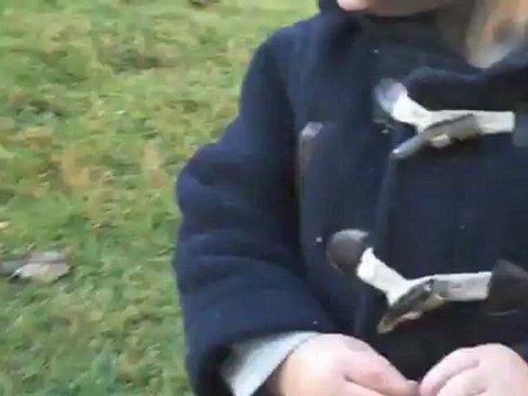 The Biggest Dogger Stroller Shipment in History