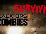 Black Ops 2 Impressions and Getting the Most Out of Zombies