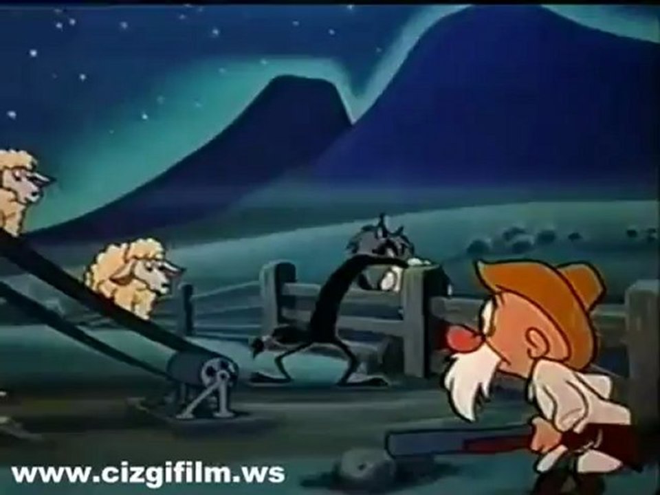 34 t_cizgi