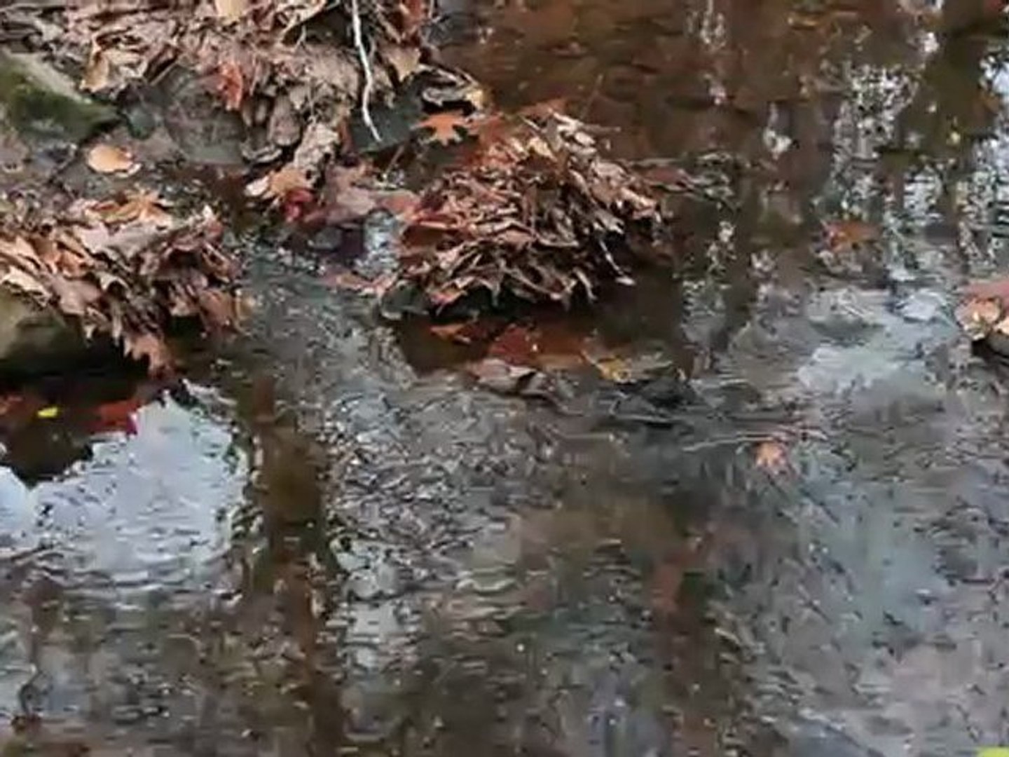 Lens Comparison