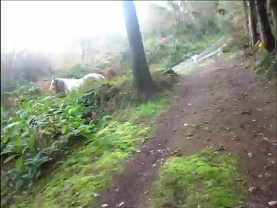 Extrait de balade le 1er décembre 2012