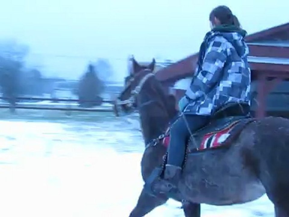 ma jument et moi deuxieme neige de l'hiver!